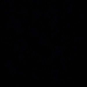 Meet your Posher, Alexa